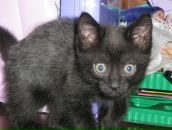 Фотография Проккоевой Жанны