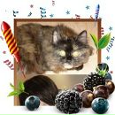 Фотография Либик Татьяны