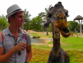 Фотография Круглова Александра