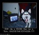 Петя Петин фотография #49 (источник - https://vk.com/id214173721)