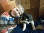 Фотография Долгих Ксении