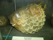 Фотография Филатова Вадима