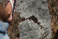 Сергей Толмачёв фотография #18 (источник - https://vk.com/id98358)