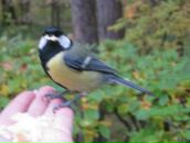 Фотография Пыркиной Светланы