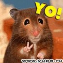 Андрій Назарець фотография #39 (источник - https://vk.com/id65065180)
