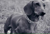 Фотография Аганичевой Ирины