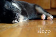 Наталія Діденко фотография #16 (источник - https://vk.com/id3846566)