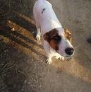 Фотография Степанова Лилия