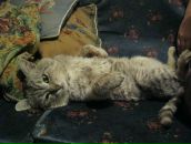 Фотография Ефимовой Дарьи