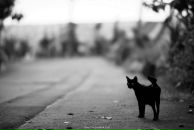 Фотография Яшиной Анастасии