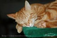 Фотография Смолянской Анастасии