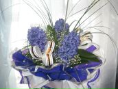 Фотография Коробовой Анны