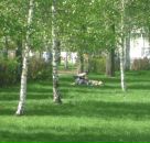 Дима Версаев фотография #17 (источник - https://vk.com/id81110164)