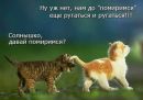 Віктор Кармен фотография #10 (источник - https://vk.com/id156619017)