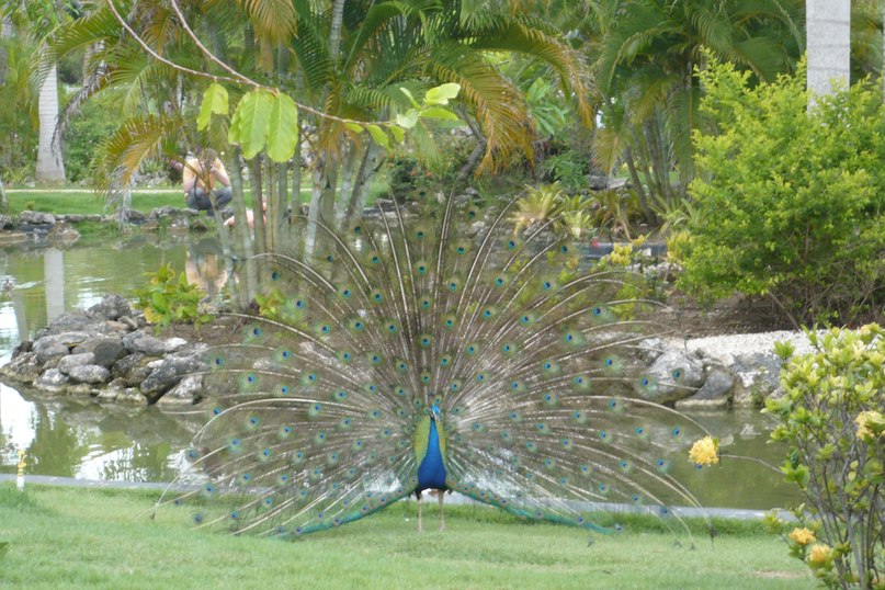 Сергей Марченко фотография #30