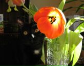 Фотография Сизова Павла