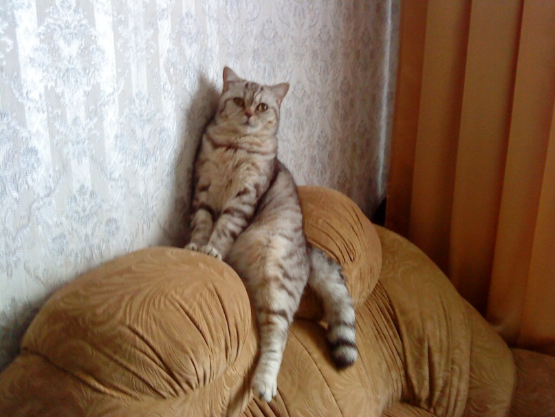 Денис Башкирев фотография #1