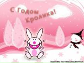 Фотография Павлюковой Лены