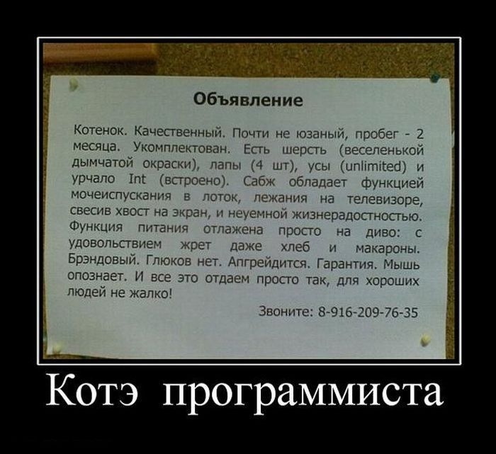 Артем Савельев фотография #24