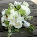 Фотография Гавриловой Алены