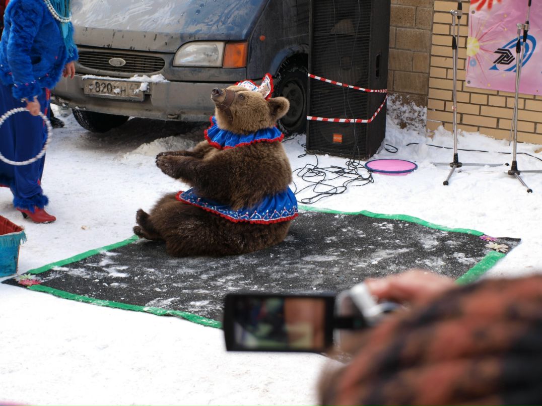 Антон Сергееев фотография #16