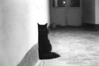 Фотография Белешева Саши