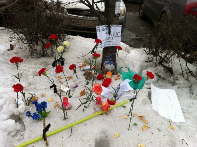 Денис Пуп фотография #15