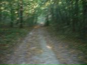 Сергій Атаманенко фотография #10 (источник - https://vk.com/id92825440)