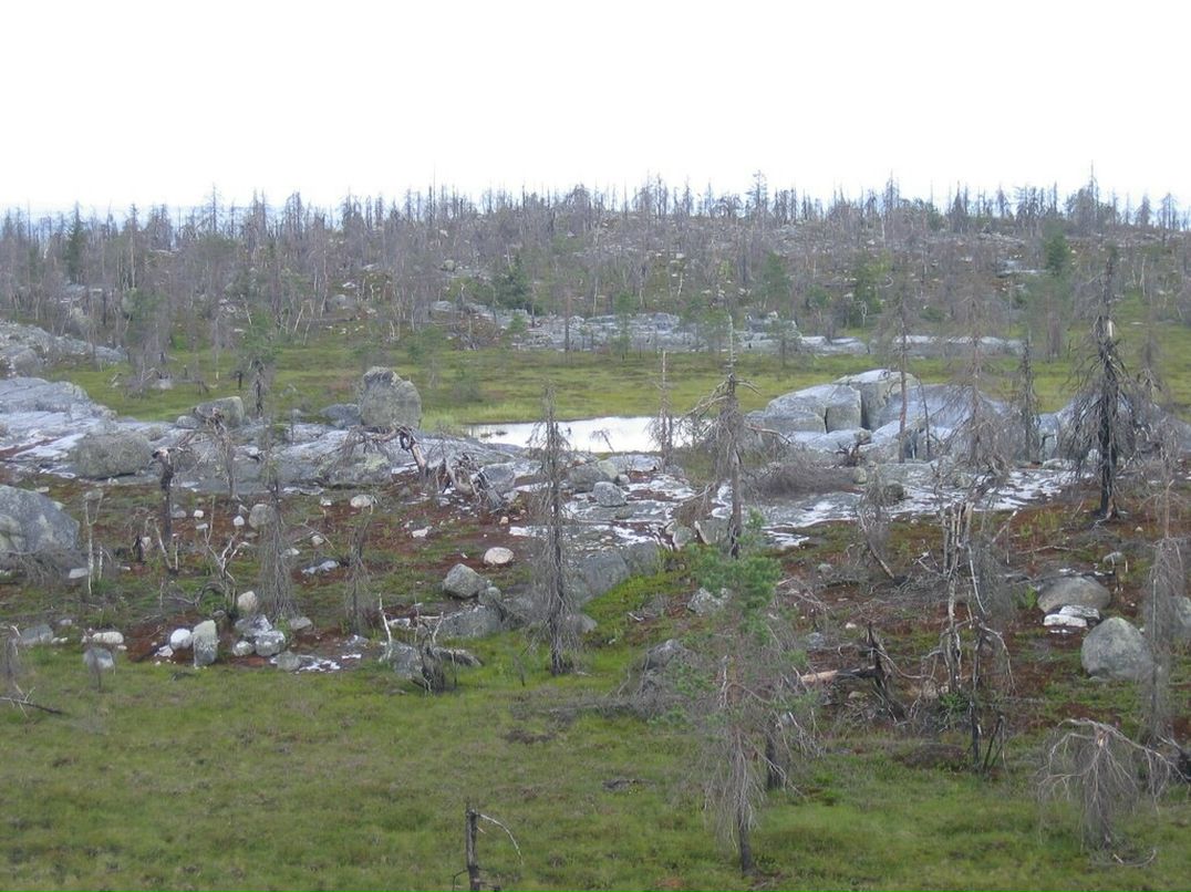 Иван Паньков фотография #34