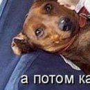 Іван Ілюк фотография #30 (источник - https://vk.com/id69238553)