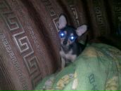 Фотография Кабанца Александра