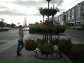 Фотография Суминой Анастасии