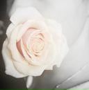 Фотография Protasova Mari