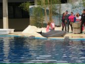 Надя Кіданецька фотография #4 (источник - https://vk.com/id103553217)