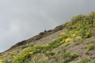 Віктор Федорчук фотография #9 (источник - https://vk.com/id6174637)