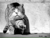 Фотография Каюмов Ильгиз