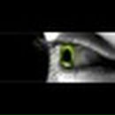 Назар Російчук фотография #15 (источник - https://vk.com/id78954646)