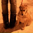 Фотография Сунеевой Анны