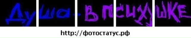 Мішка Голеня фотография #42 (источник - https://vk.com/id114338049)