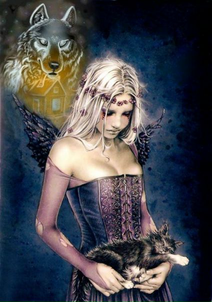 №5, Сергей Самылов №5, Сергей Самылов