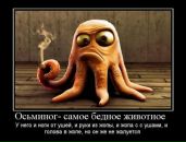 Фотография Хабировой Алевтины