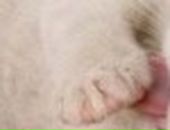 Марінка Зрайченко фотография #20 (источник - https://vk.com/id133549217)