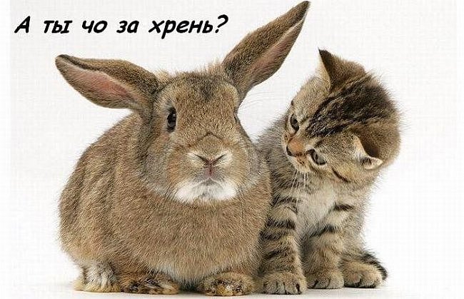 Виктор Погребняк фотография #15