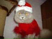 Фотография Пастуховой Татьяны