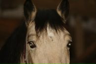 Фотография Новинки-Аввакумовой Ксении