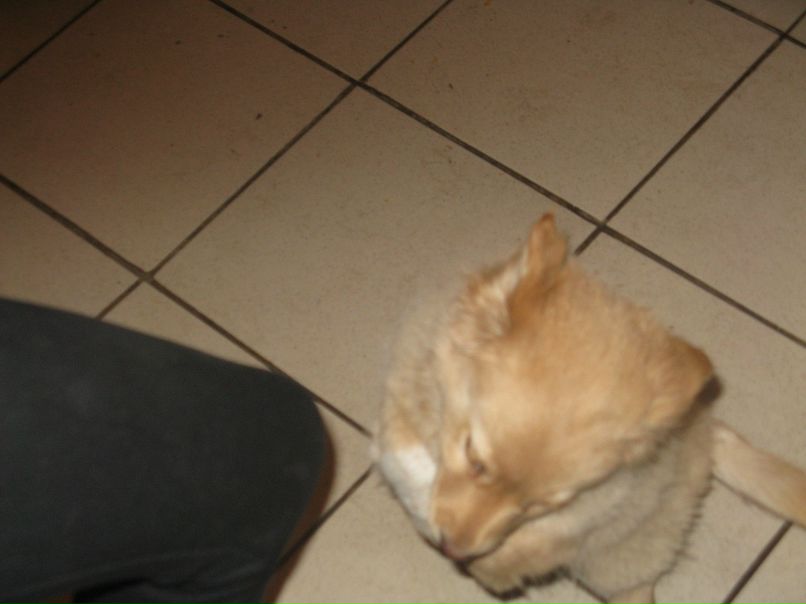 Дмитрий Бурлаков фотография #30