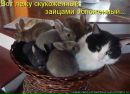Андруся:)) Лозинська фотография #18 (источник - https://vk.com/id121655750)