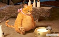 Фотография Романовны Юлии