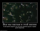 Віталій Лях фотография #50 (источник - https://vk.com/id9130346)
