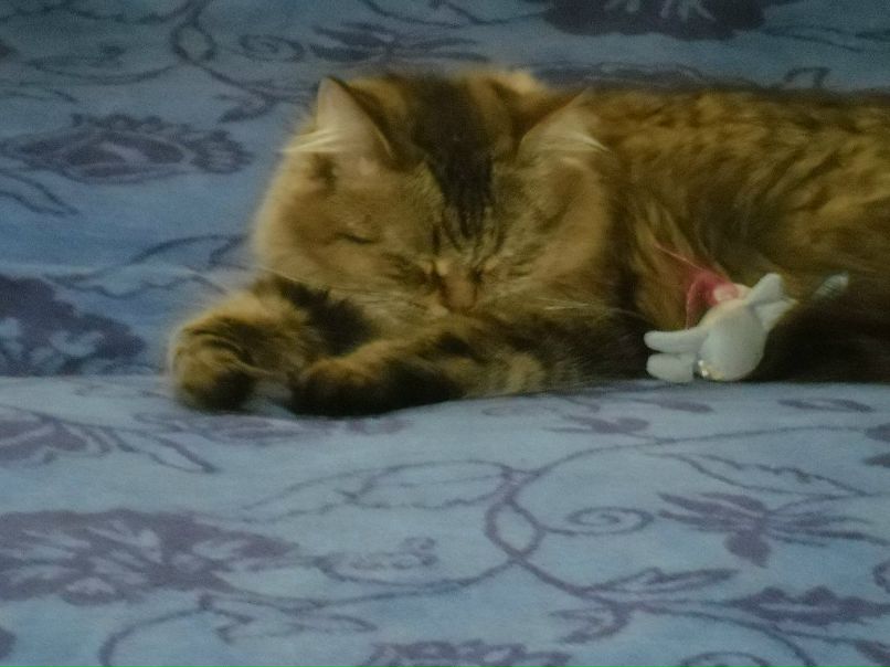 Женя Дмитриев фотография #8